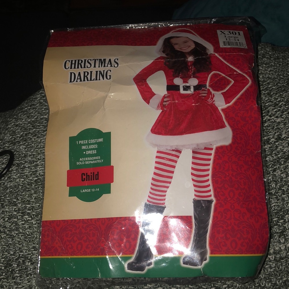 NWT Christmas Darling Child Dress - size 12/14